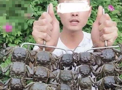 吴川网红吃瓜事件真相视频,真相视频曝光背后的真相