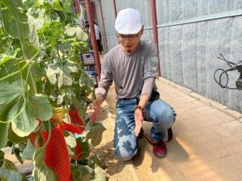 梁山网红打卡地吃瓜