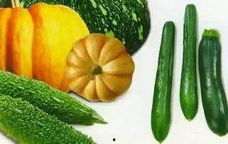 吃瓜网的推荐系统,热门话题一键掌握，轻松成为话题达人！