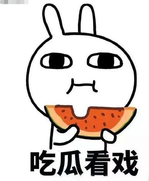 吃瓜网往期回顾,盘点那些年我们一起吃过的瓜