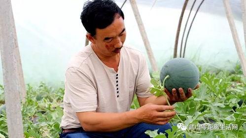 吃瓜群众福利网,揭秘娱乐圈幕后故事，带你畅游娱乐盛宴