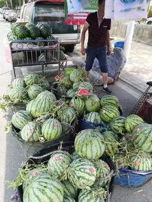 镇平网红吃瓜事件