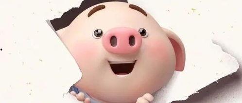 抖音网红粉色的猪吃瓜,揭秘网红圈幕后故事