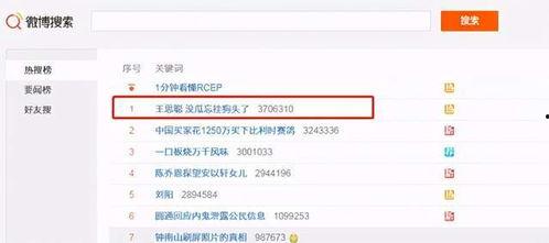 吃网红瓜网站网址免费看,免费畅享热门资讯，轻松解锁娱乐圈秘密