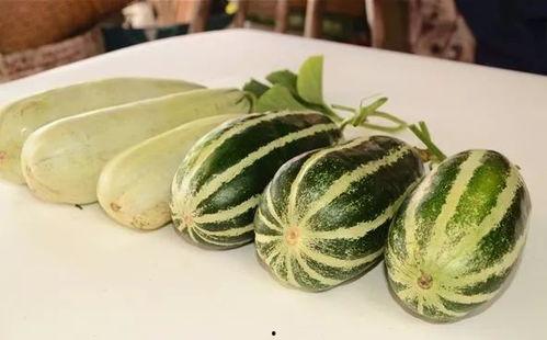 网红泡泡吃瓜视频,揭秘娱乐圈幕后真相