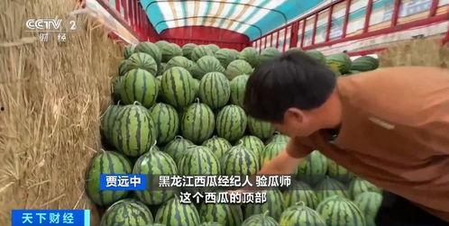 718吃瓜网官网传送,带你领略网络娱乐新风向