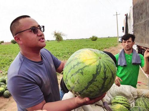 718吃瓜网官网传送,带你领略网络娱乐新风向