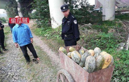 监利网红吃瓜事件真相,真相与反思