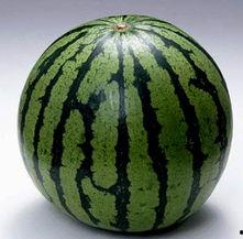 5吃瓜网,5吃瓜网带你领略明星幕后故事