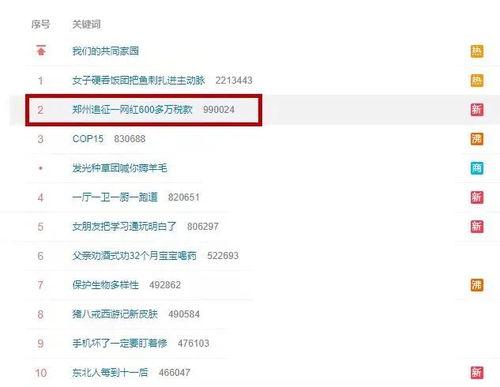 吃网红瓜的软件叫什么,那些让你欲罢不能的软件大揭秘
