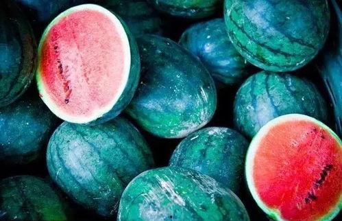 澳洲吃瓜网,揭秘澳洲娱乐圈最新热点与幕后故事