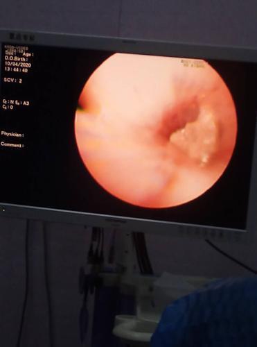 ccgg.ct吃瓜官网,带你领略网络吃瓜新潮流