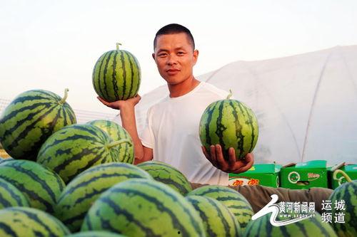 吃瓜官网进入,带你领略美食世界的无限魅力