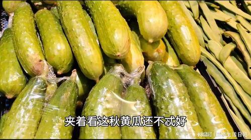 黑网料吃瓜网是多少