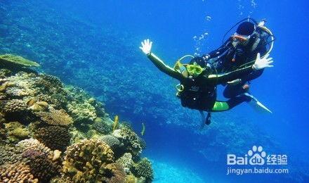 一线吃瓜by海底见月百度网盘,海底见月带你揭秘娱乐圈幕后风云