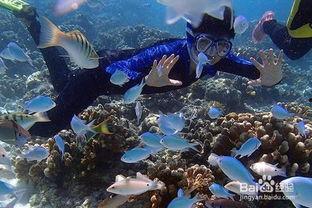 一线吃瓜by海底见月百度网盘,海底见月带你揭秘娱乐圈幕后风云