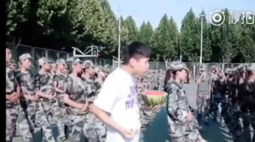 吃瓜网军训,揭秘军营生活，展现青春风采