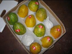 吃瓜台湾网红事件,揭秘网络舆论的风云变幻