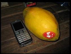 吃瓜台湾网红事件,揭秘网络舆论的风云变幻