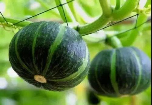 七月网红吃瓜事件真相揭秘,揭秘背后真相与真相背后的真相