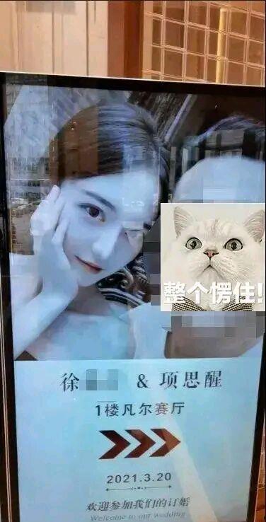 吃瓜ceo网红女友,吃瓜CEO与网红女友的甜蜜日常