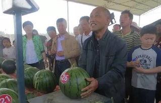 武都网红吃瓜群众视频大全