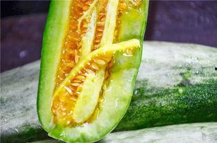 网红小鲜肉吃瓜,揭秘娱乐圈幕后真相