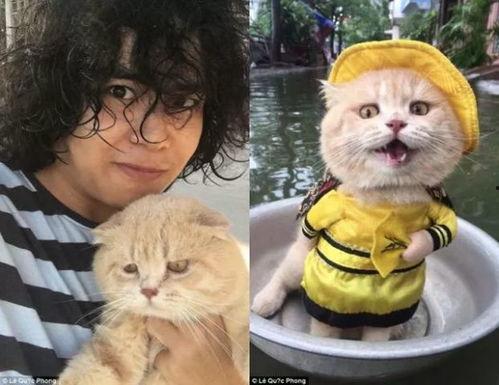 网红倦倦猫吃瓜,揭秘娱乐圈幕后真相