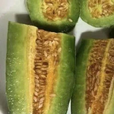 网红吃瓜 记录在哪里看,揭秘热门事件幕后真相