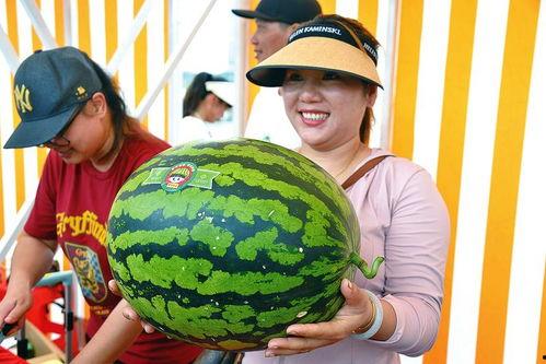 51吃瓜王网,网络舆论风向标背后的故事