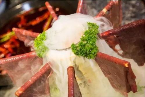 成都酒吧网红吃瓜