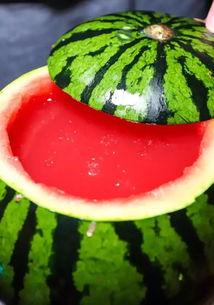 成都酒吧网红吃瓜