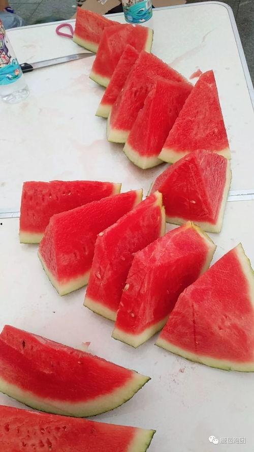 56吃瓜网-每日大赛,每日大赛精彩回顾，热点事件一网打尽