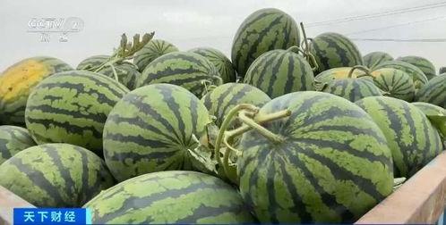 百万网红吃瓜有哪些平台