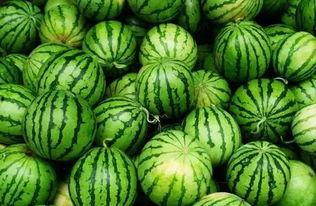 qq吃网红瓜群,网络社交新趋势下的娱乐盛宴