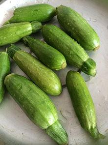 网红吃的小瓜怎么做的