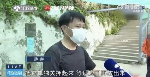 网红警察吃瓜
