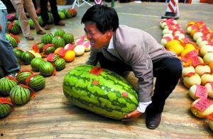 吃瓜网每日大赛入口,入口开启狂欢盛宴！