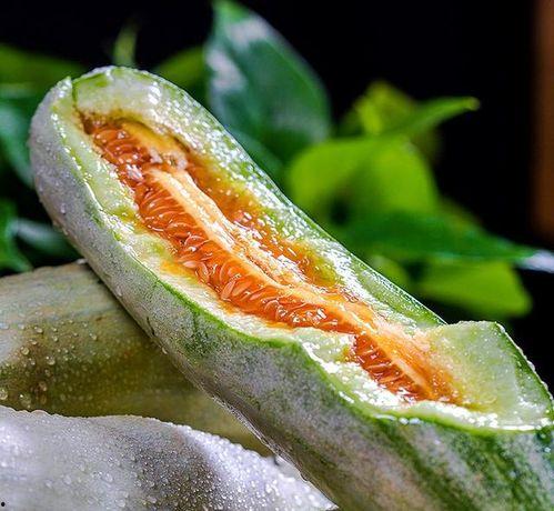 山东网红甜瓜送吃瓜神器